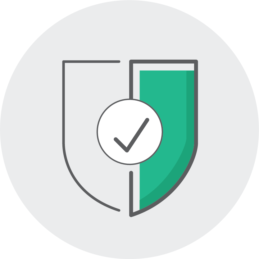 Shield Check Icon